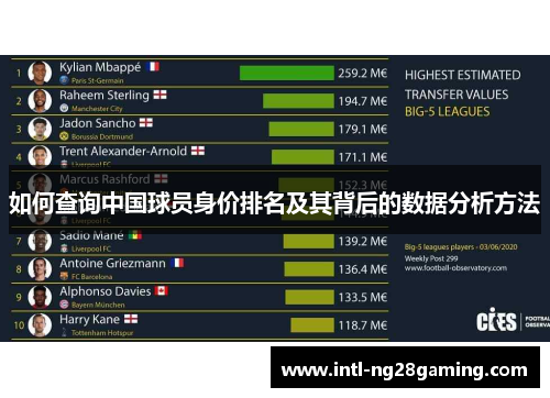 如何查询中国球员身价排名及其背后的数据分析方法