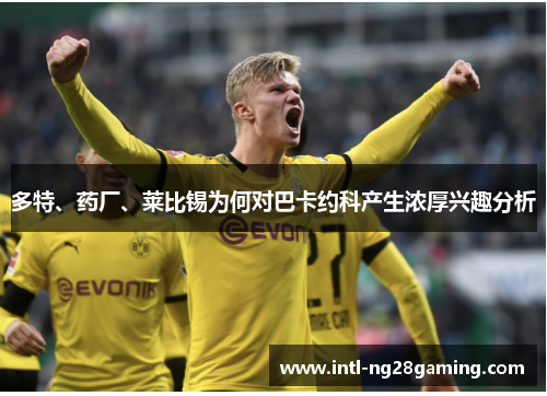 多特、药厂、莱比锡为何对巴卡约科产生浓厚兴趣分析