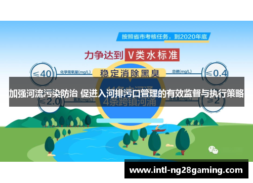 加强河流污染防治 促进入河排污口管理的有效监督与执行策略
