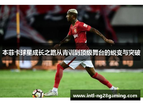 本菲卡球星成长之路从青训到顶级舞台的蜕变与突破