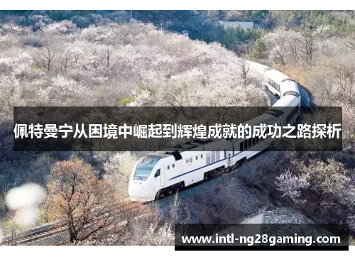 佩特曼宁从困境中崛起到辉煌成就的成功之路探析