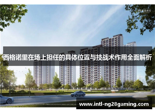 西格诺里在场上担任的具体位置与技战术作用全面解析