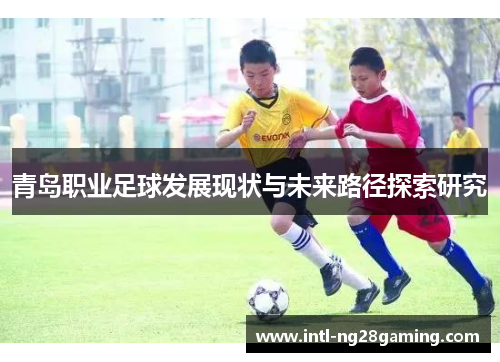 青岛职业足球发展现状与未来路径探索研究