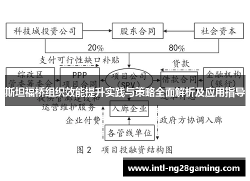 斯坦福桥组织效能提升实践与策略全面解析及应用指导