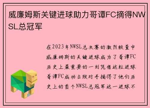 威廉姆斯关键进球助力哥谭FC摘得NWSL总冠军